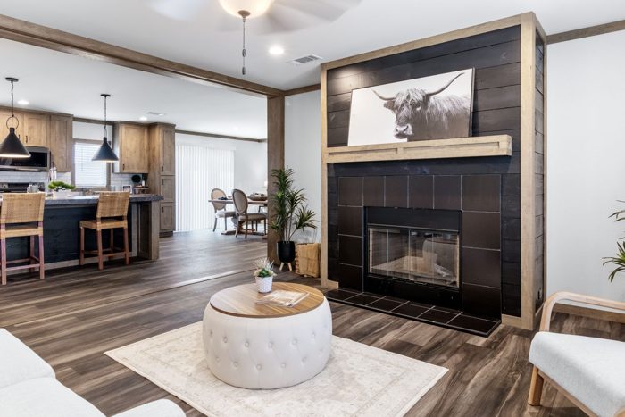 Living Room Features